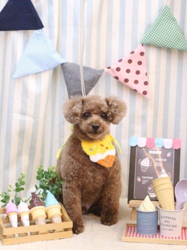 20250504ココアくん